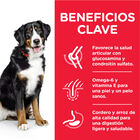 Hill's Science Plan Adult Large Cordero pienso para perros, , large image number null